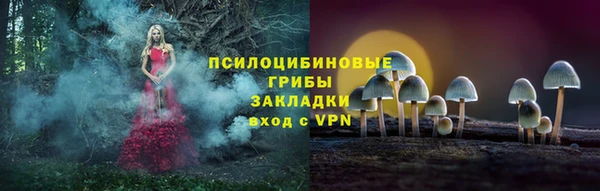 сатива Пролетарск