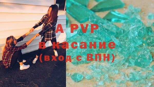 СК Абинск