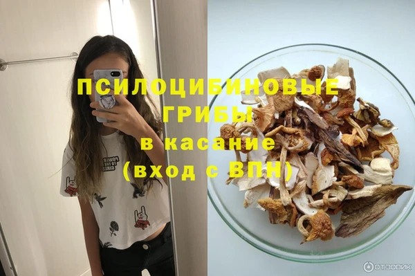 сатива Абдулино