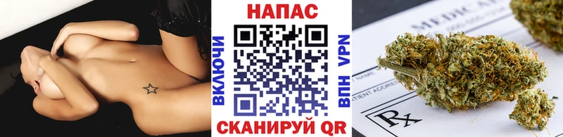 Каннабис план  Абаза 